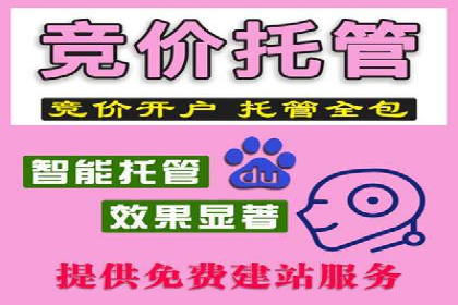 百度推广费用案例分析：如何提高广告投放效果